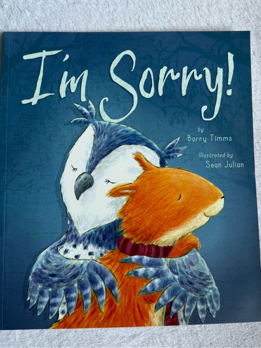 I'm Sorry! Children's Picture Book - Blue Cover new